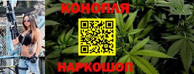 jwh Нальчик