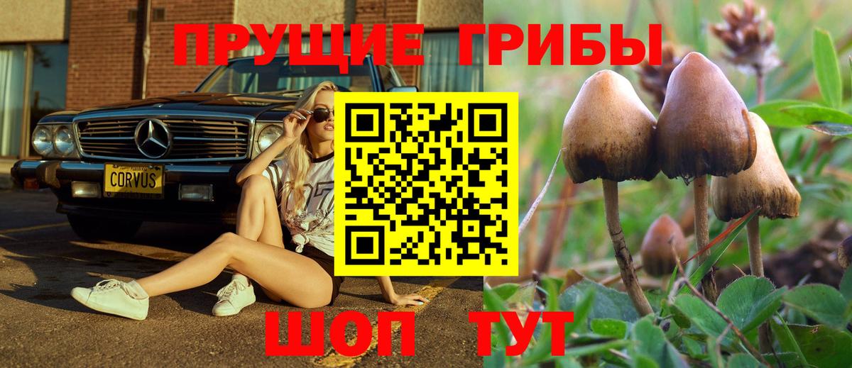 Ржев  Галлюциногенные грибы мухоморы  Псилоцибиновые грибы мухоморы  Вход с VPN 